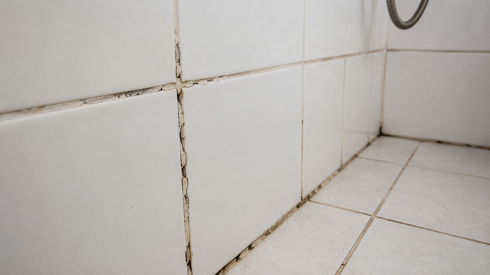 Shower Remodeling
